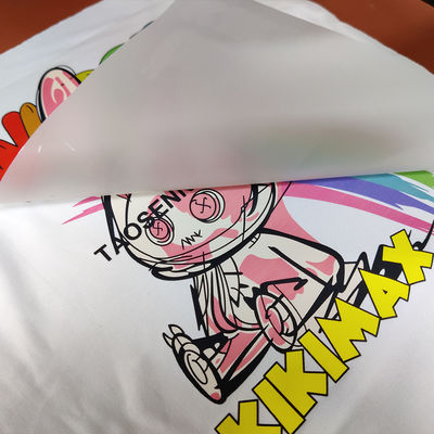 ভালো দাম বিনামূল্যে নমুনা ডাবল সাইড ম্যাট ডিটিএফ 30 সেমি 60 সেমি কোল্ড পিল হট পিল পিট ফিল্ম ডিটিএফ রোল অনলাইন