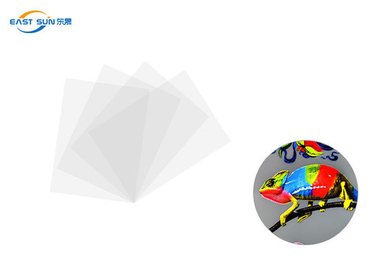 ভালো দাম প্রচলিত প্রস্থ 60cm 33cm 30cm DTF হিট ট্রান্সফার ফিল্ম সাদা রঙ অনলাইন